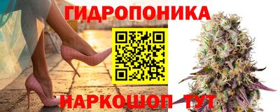 PSILOCYBIN Нягань