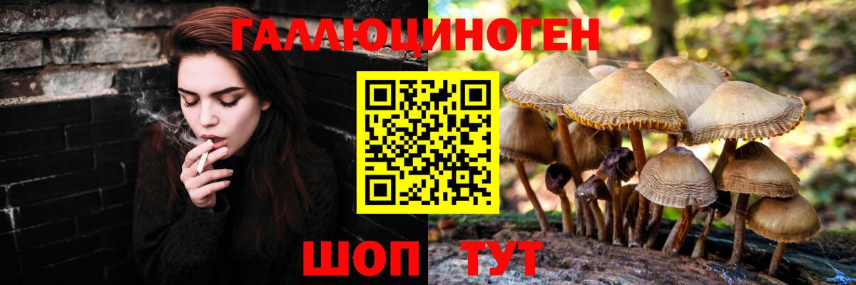 Псилоцибиновые грибы ЛСД Серпухов